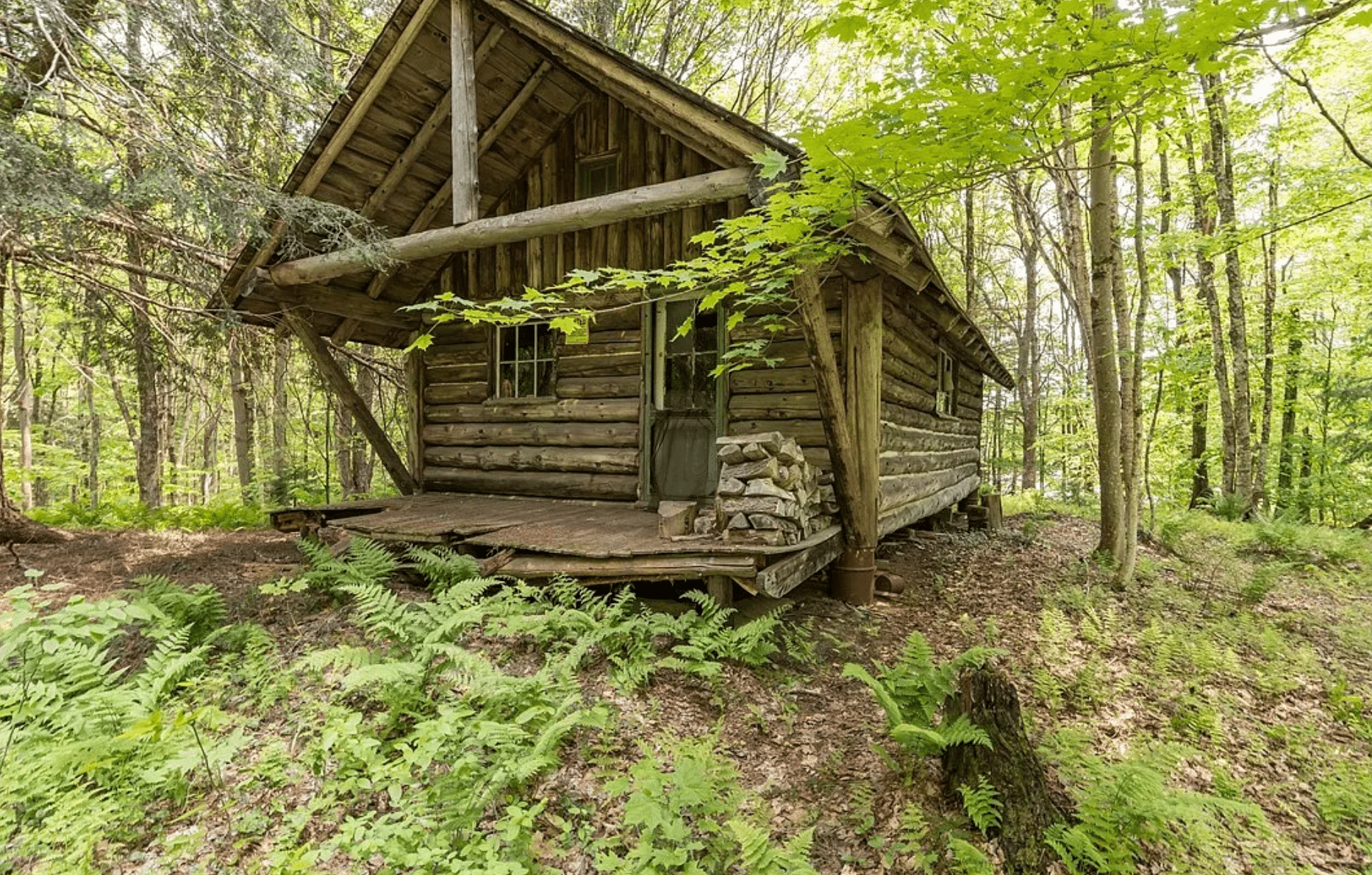 View of Off Grid New York Log Cabin For Sale With 26.3 Acres, Pond $100K